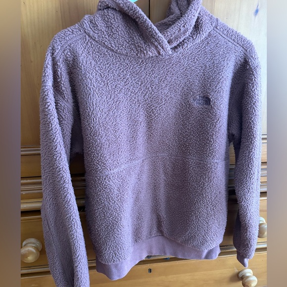 The North Face Other - The North Face Pullover Fleece